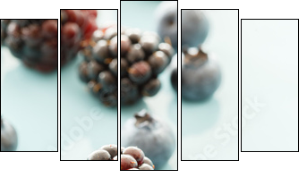 fresh berries - Five-piece canvas, Pentaptych