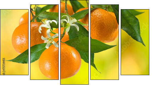 ripe tangerine on a yellow background - Five-piece canvas, Pentaptych