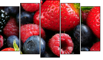 Assorted fresh berries - Five-piece canvas, Pentaptych