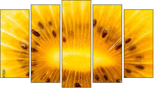 Yellow kiwi fruit on a white background - Five-piece canvas, Pentaptych
