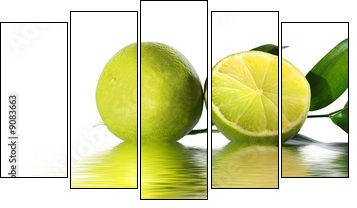 green lime - Five-piece canvas, Pentaptych