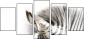 17246984