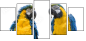 18738718