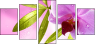 20055851