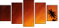 20708520