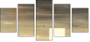 21155951