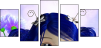 22659722
