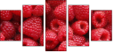 22816665