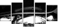 23943904