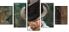 25062191