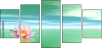 29216817