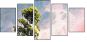32752739