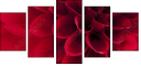 33891278