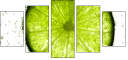 36604434