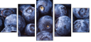 38114663