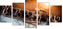 39661645