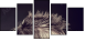 43317658