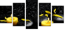 43880281