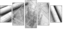 4616556