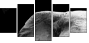 46583459