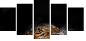 48606369
