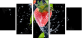 51416797