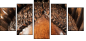 52004103