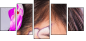 52845719