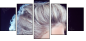 53129402