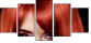 53895869