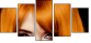 53895937