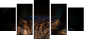 54170088