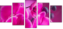 58002130