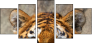 59798134