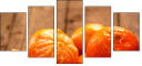 76269505