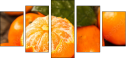 76269627
