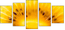 78671231