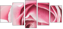 95247840
