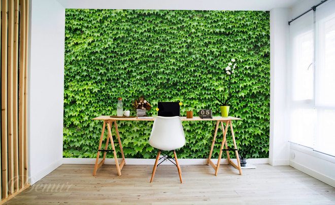 La-legerete-verte-de-la-forme-textures-pour-le-mur-papiers-peints-demur