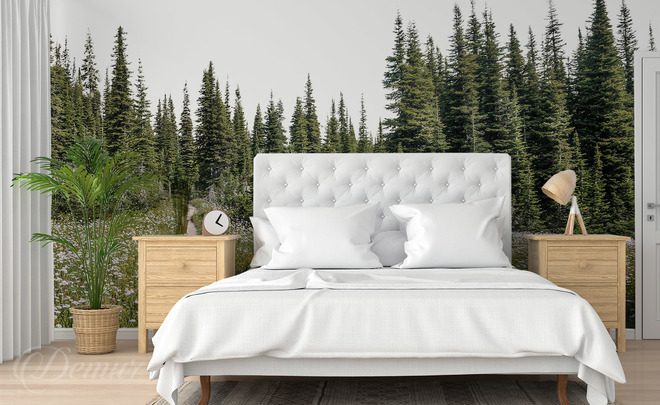 Clairiere-forestiere-au-coeur-de-majestueux-epiceas-pou-la-chambre-a-coucher-papiers-peints-demur