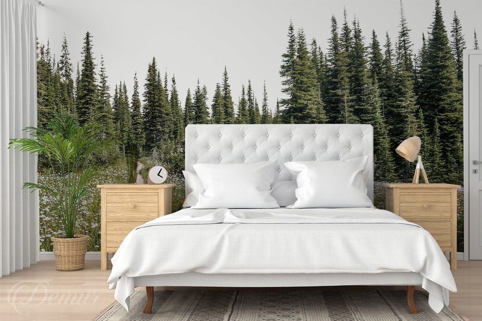 Clairiere-forestiere-au-coeur-de-majestueux-epiceas-pou-la-chambre-a-coucher-papiers-peints-demur