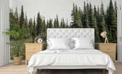 Clairiere-forestiere-au-coeur-de-majestueux-epiceas-pou-la-chambre-a-coucher-papiers-peints-demur