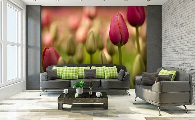 Paradis-des-tulipes-fleurs-murales-papiers-peints-demur