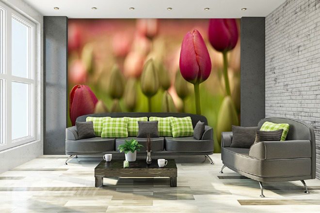 Paradis-des-tulipes-fleurs-murales-papiers-peints-demur